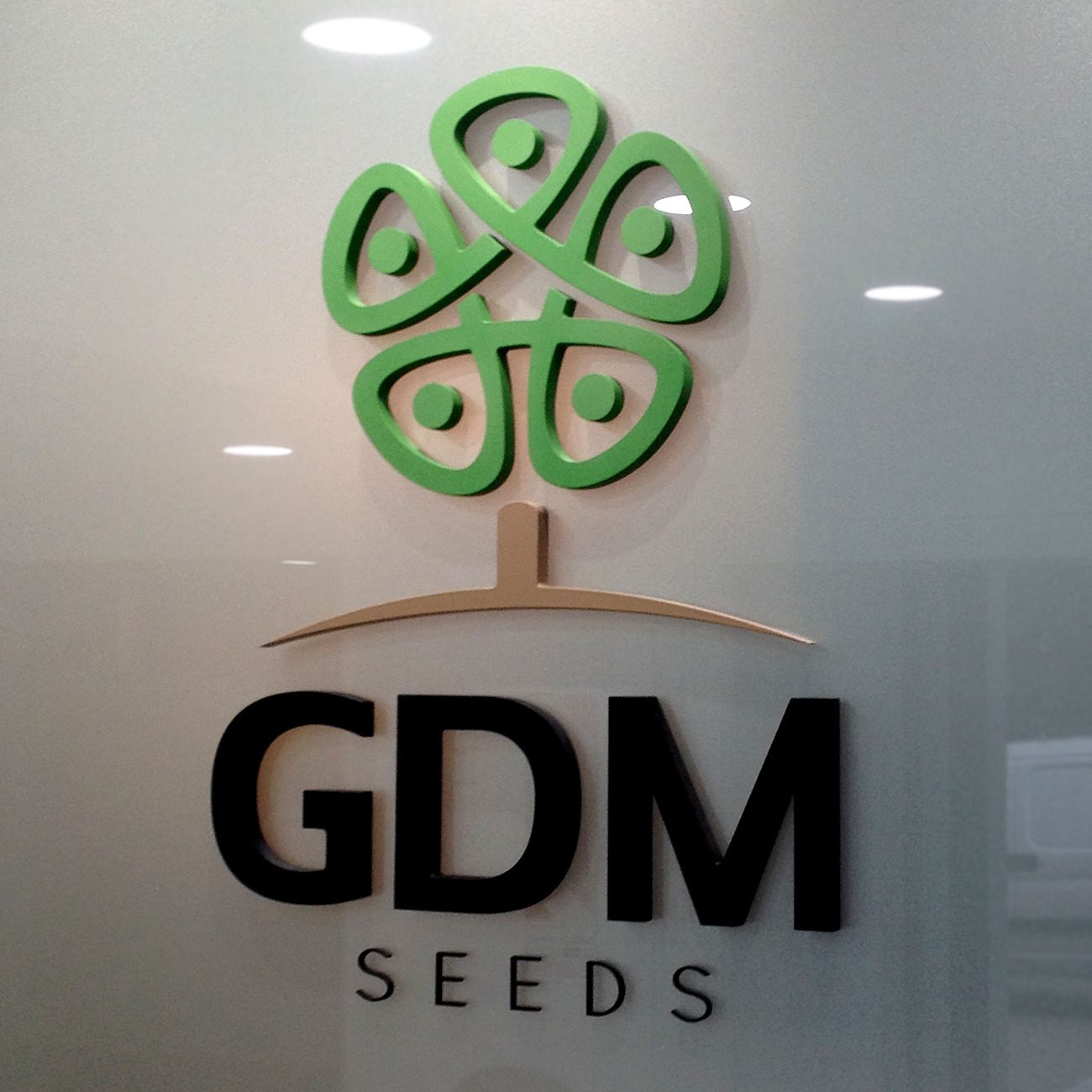 gdm_seeds_1