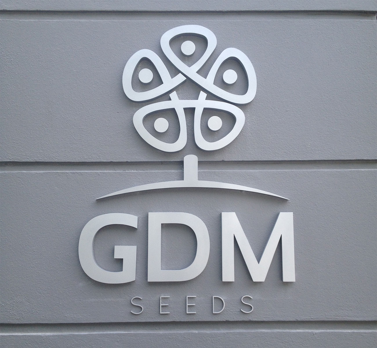 gdm_seeds_2